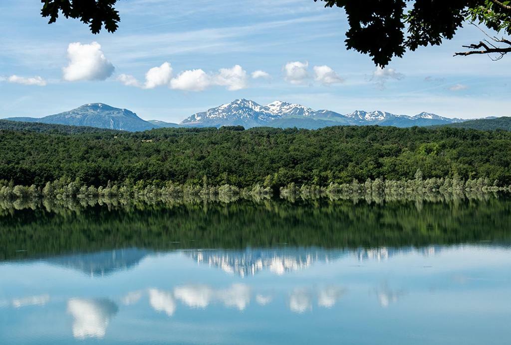 La Cour De L'Olivier Appartamento Chalabre Esterno foto
